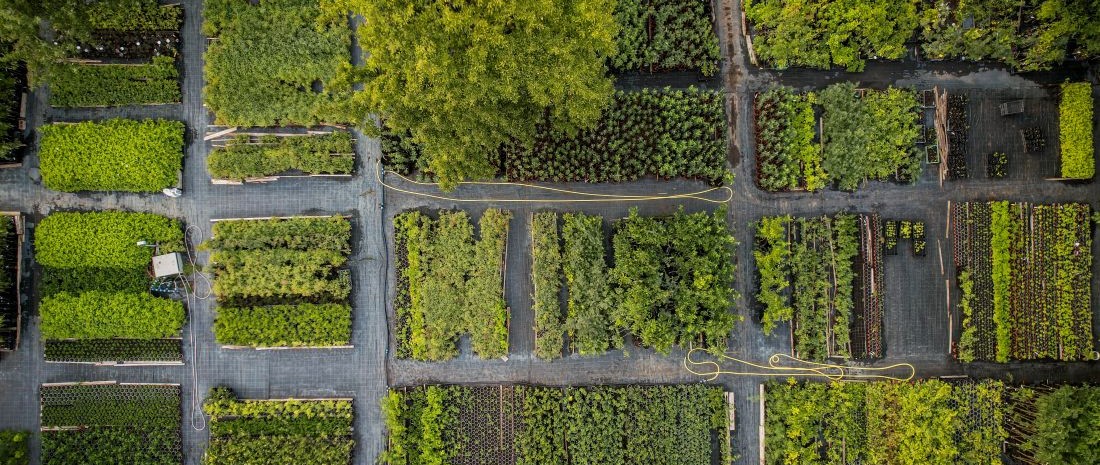 Ovocna_skolka_Bojkovice_letecky